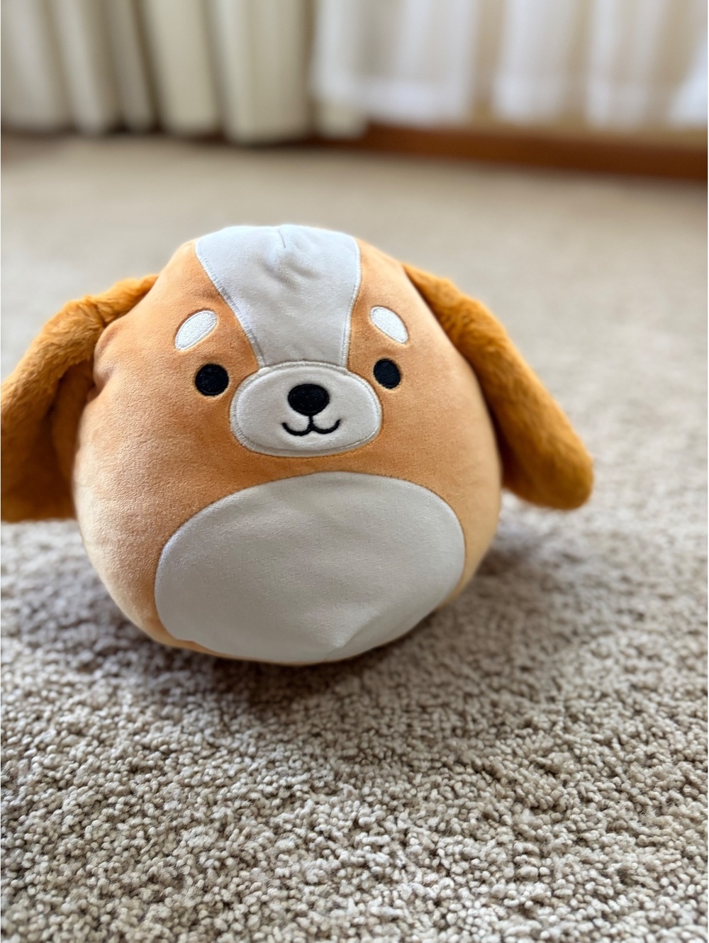 Squishmallows 8" Ysabel the Cocker Spaniel Puppy Dog Plush Stuffed Toy